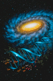 Screen Shot 2014-10-16 at 9.51.36 AM